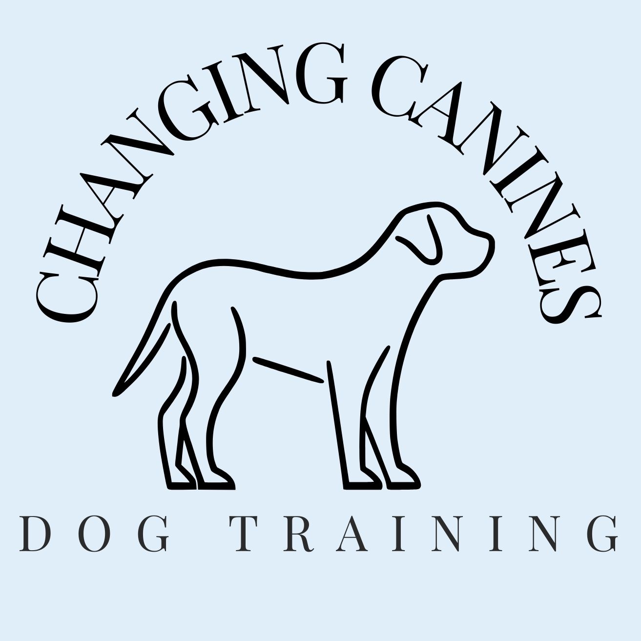 Bay Area In-Home Dog Training